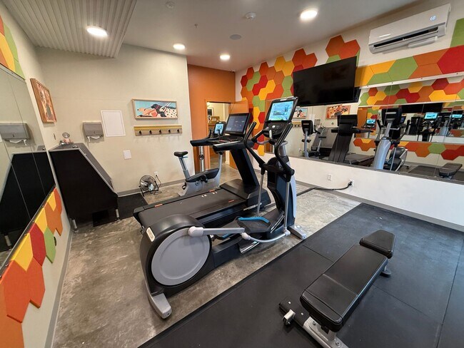 Interior Photo - Paceline