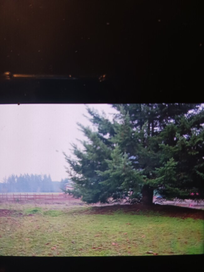 Beautiful country view - 16777 S Henrici Rd