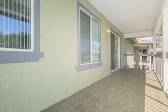 Interior Photo - Sahara and Playa Palms