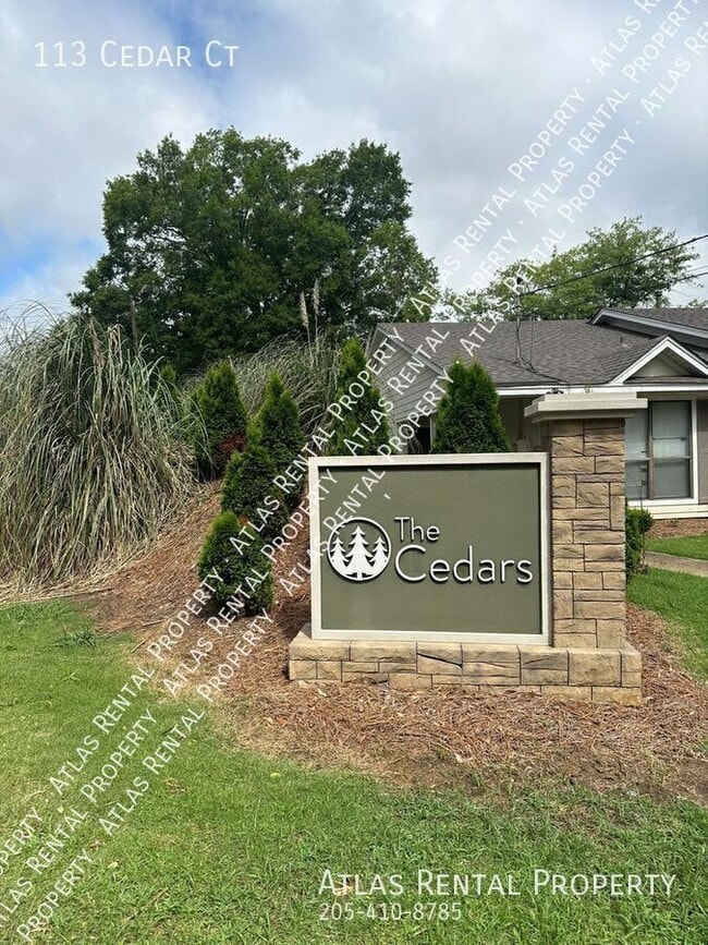 Building Photo - 113 Cedar Ct