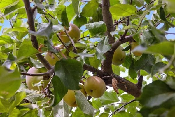 Foto del edificio - 14 Stadium Way