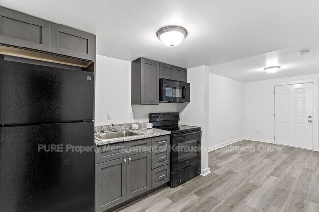 Photo - 725 E College St Apartment