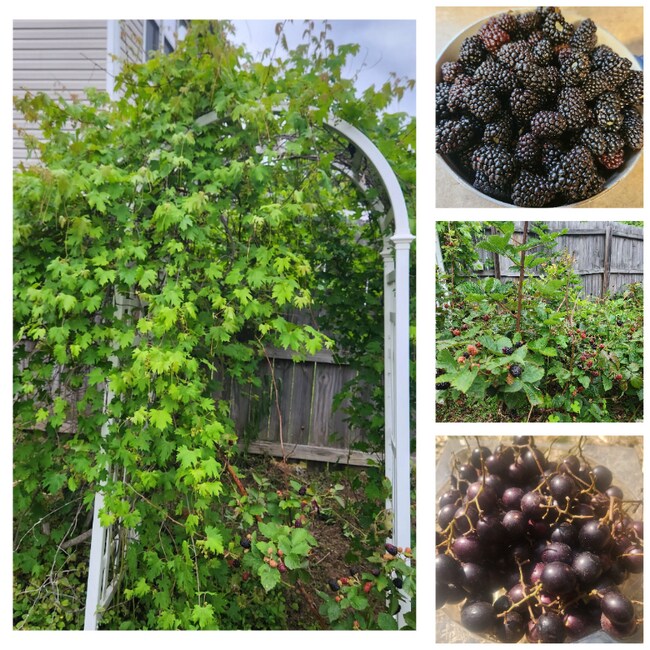 Foto del edificio - 6530 Guard Hill Dr