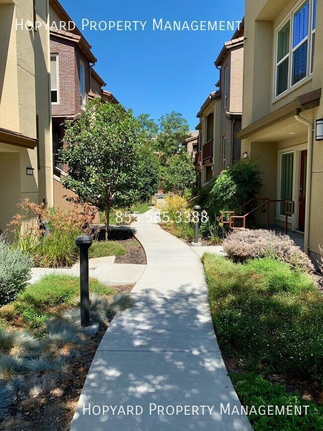 Building Photo - Spectacular Prime Location, in San Jose!
