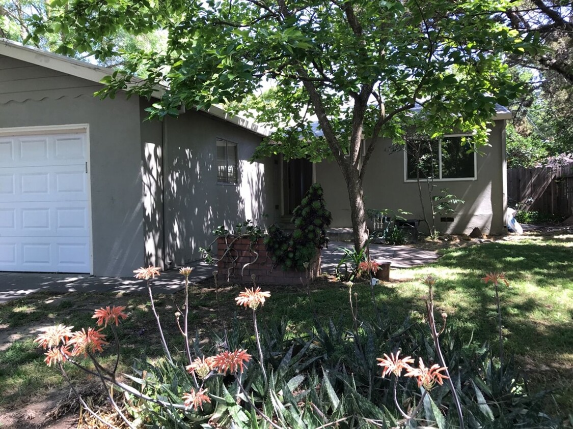 Primary Photo - 3 bedroom 1 bath home central location