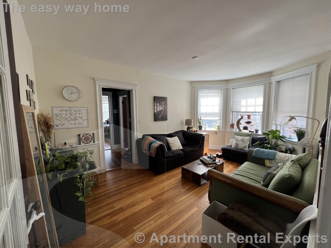 Primary Photo - 11 Ellery St
