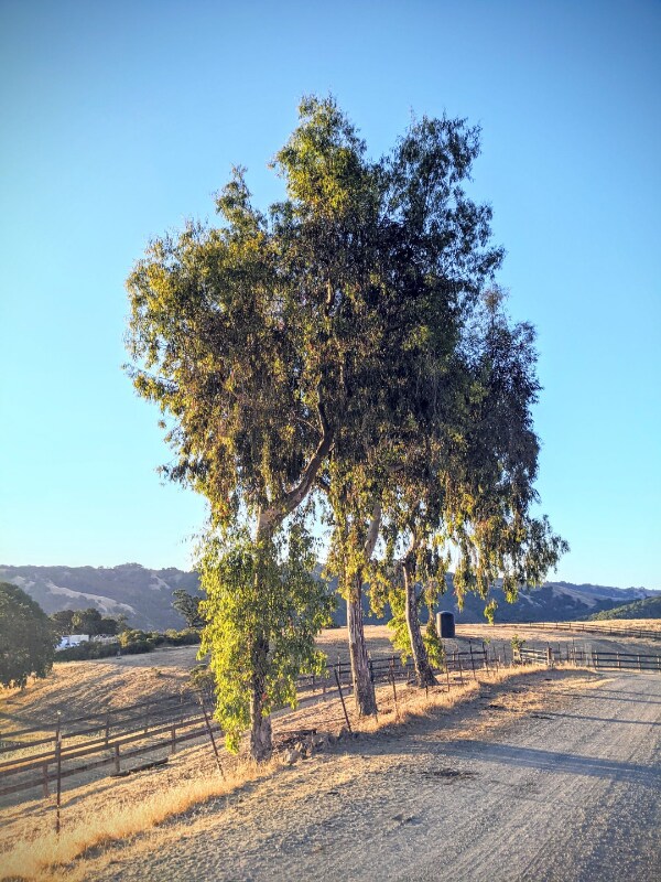 Foto del edificio - 16500 Finley Ridge Rd