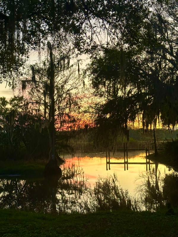 Building Photo - 2545 S Zellner Dr