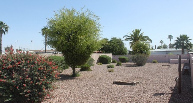  - Whispering Palms