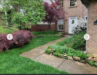 Building Photo - 3516 Forest Cove Ln