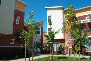 Edificio - Chesley Mutual Housing