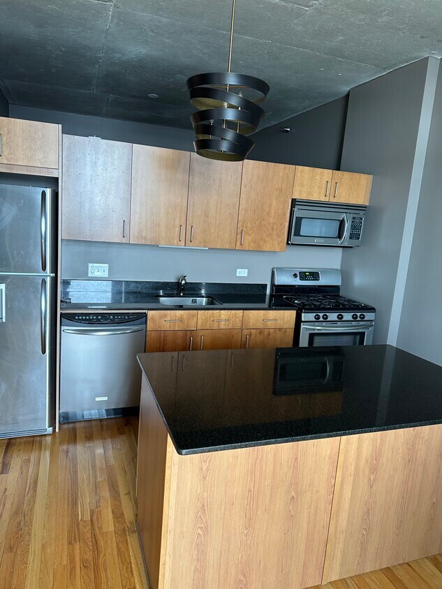 1720 S Michigan Ave Unit 2412, Chicago, IL 60616 Condo for Rent in