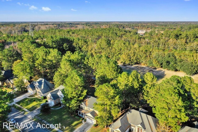 Foto del edificio - 4 br, 2.5 bath House - 344 Brown Thrush Road