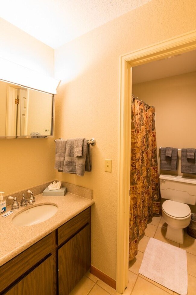 Foto del edificio - 2 bedroom/2 bathroom condo in Mount Crested Butte