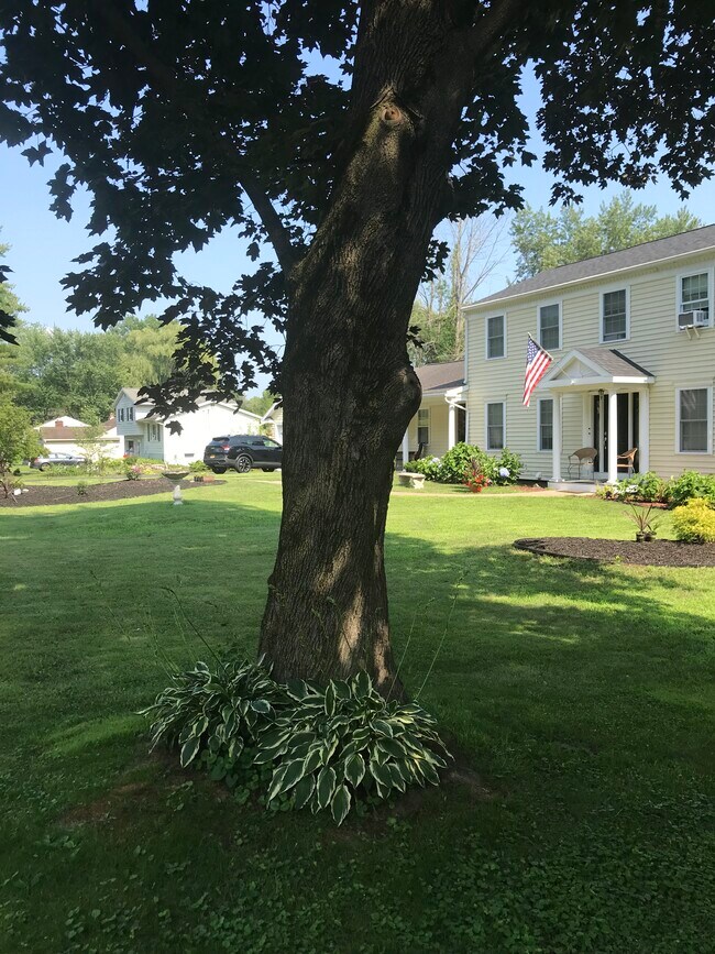 ¡Espacio verde con sol y sombra! - 118 Beacon Rd