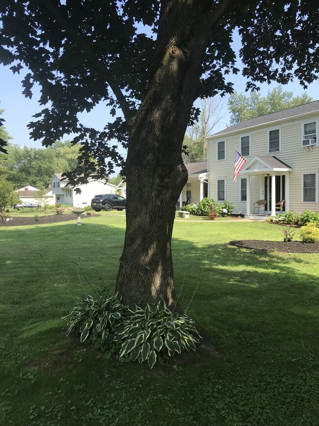 Green space with SUN AND SHADE! - 118 Beacon Rd