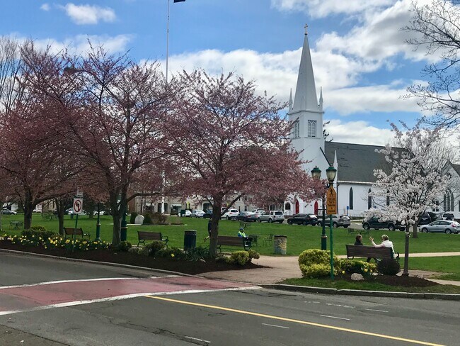 Branford Town Green - 235 Montowese St