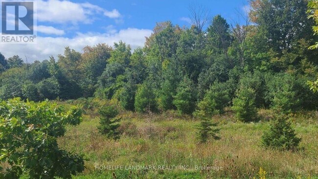 Photo du bâtiment - 1 Beckenrose Ct