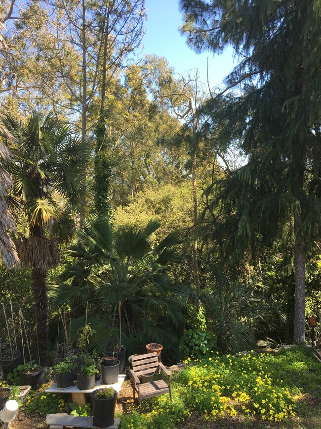 Patio interior - 4012 Lambert Rd