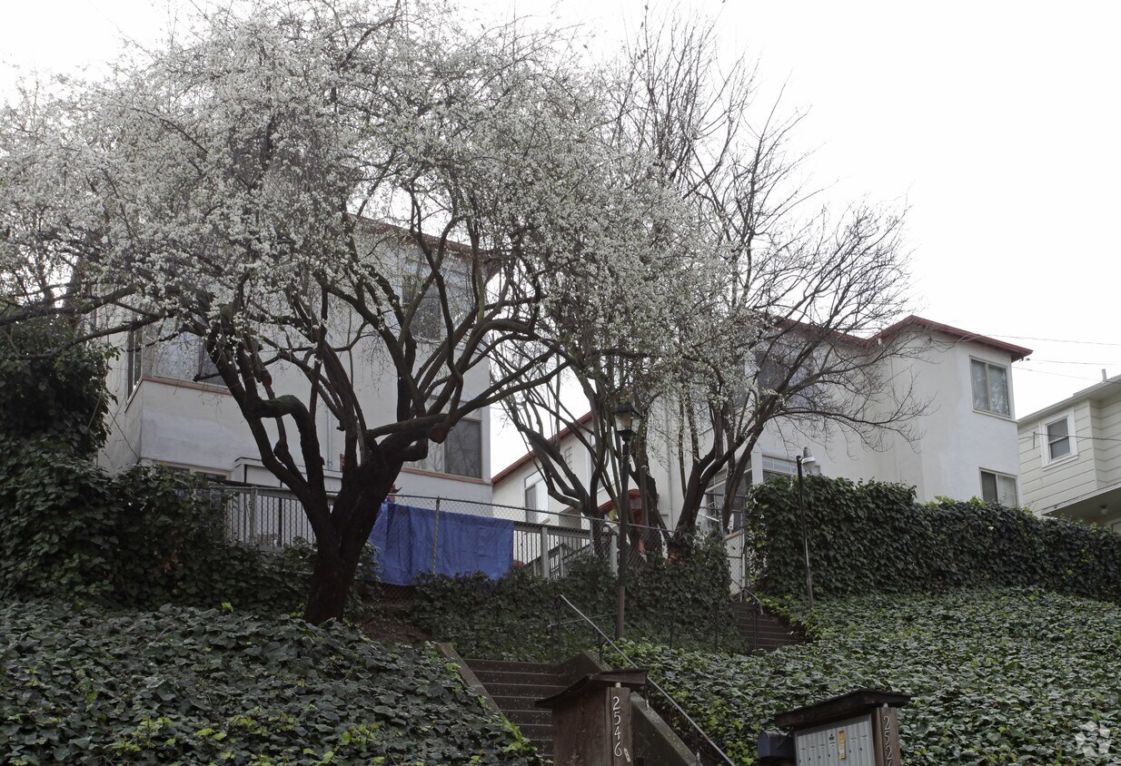 Foto del edificio - 2526-2544 Ivy Dr