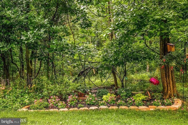 Building Photo - 3639 Buckeye Ct
