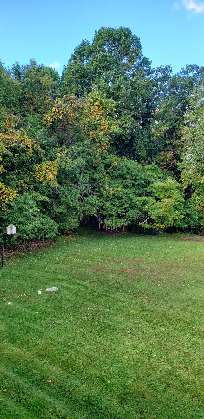 Foto del edificio - 65 Newman Rd