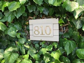 Building Photo - 810 Carlita Cir