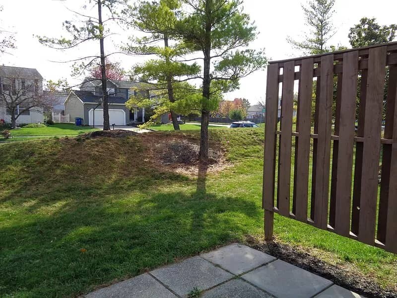 Foto del edificio - 5005 Stoneybrook Blvd