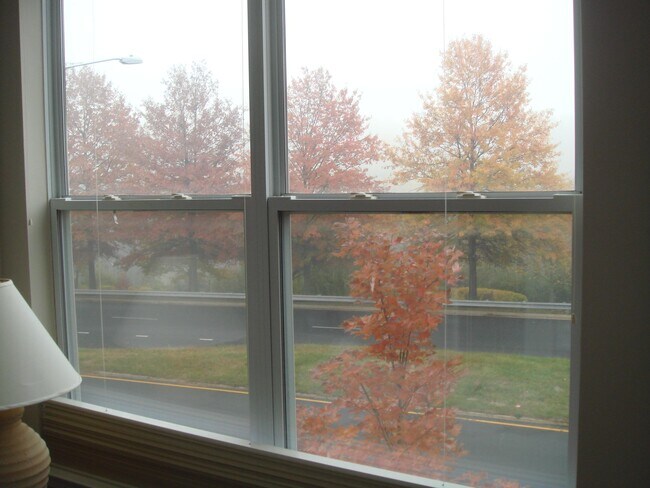 Bedroom View - 9480 Virginia Center Blvd