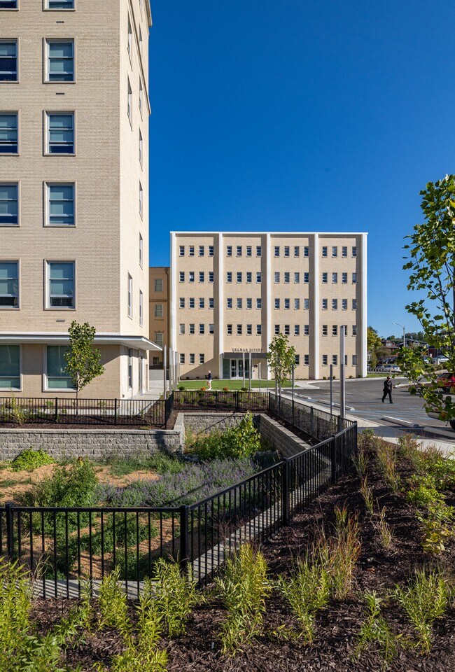 Building Photo - Residences at Delmar Divine