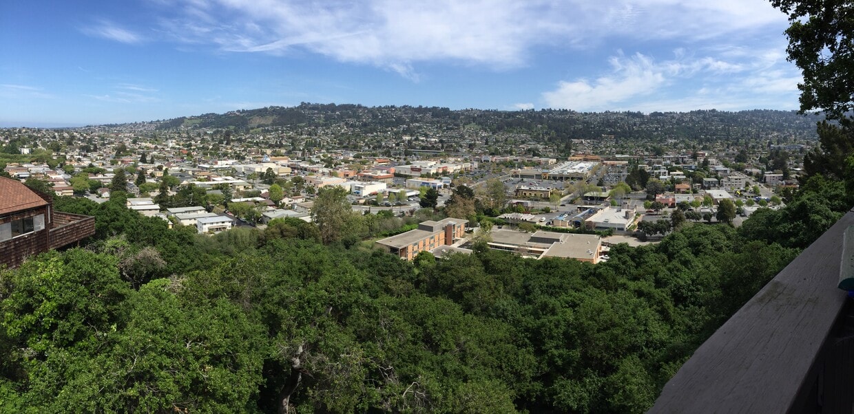 517 Jackson St, Albany, CA 94706 House Rental in Albany, CA