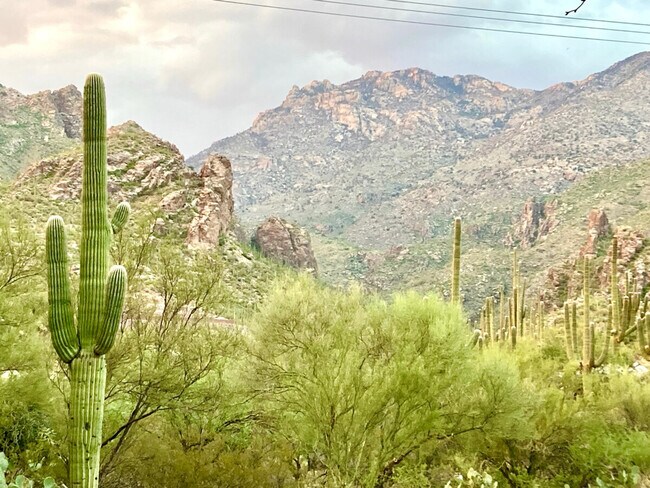 Foto del edificio - 6655 N Canyon Crest Dr