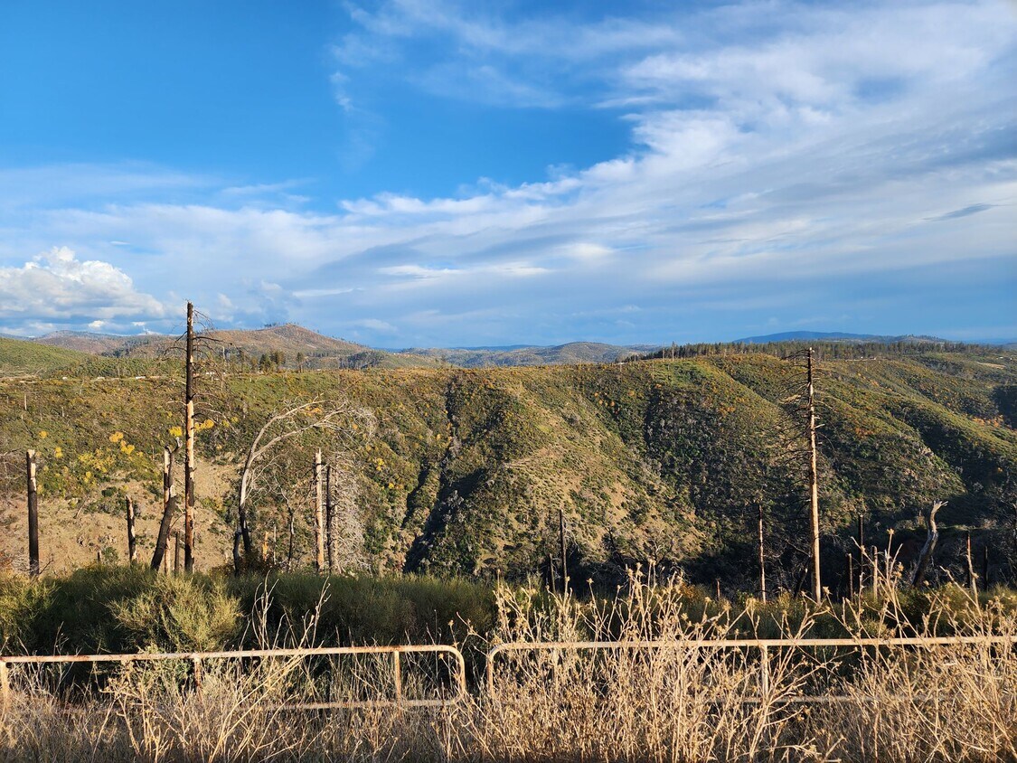 Primary Photo - 1 Bedroom, 1 Bathroom unit available for $...