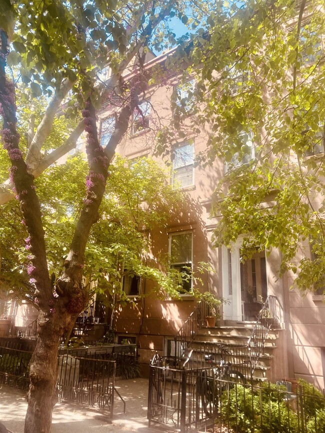 Building Photo - 72 Sussex St