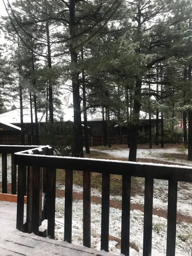 view from back deck - 30 E Ridgecrest Dr