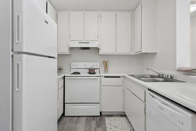 Building Photo - Tropicana Royale