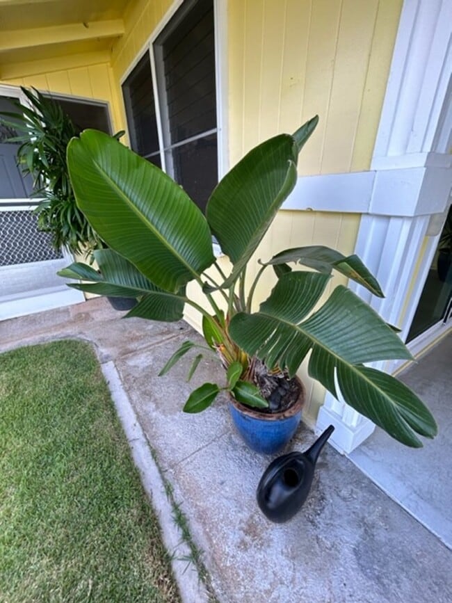 Foto del edificio - Available on 12/16/25, spacious 1570 sq ft, 3 Bedrooms, 2 Baths, 2 Car Garage Single-Family Home ...