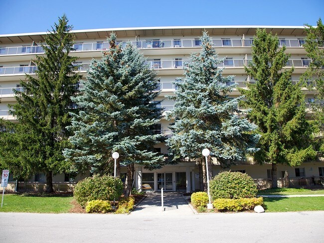 Primary Photo - The White House Apartments