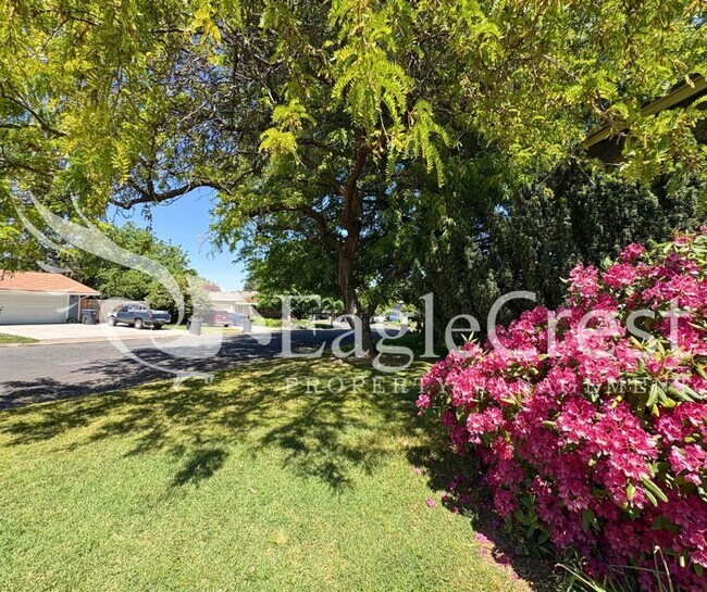 Foto del edificio - 3 Bedroom 2 Bathroom Single Family Home With Great Outdoor Space!!
