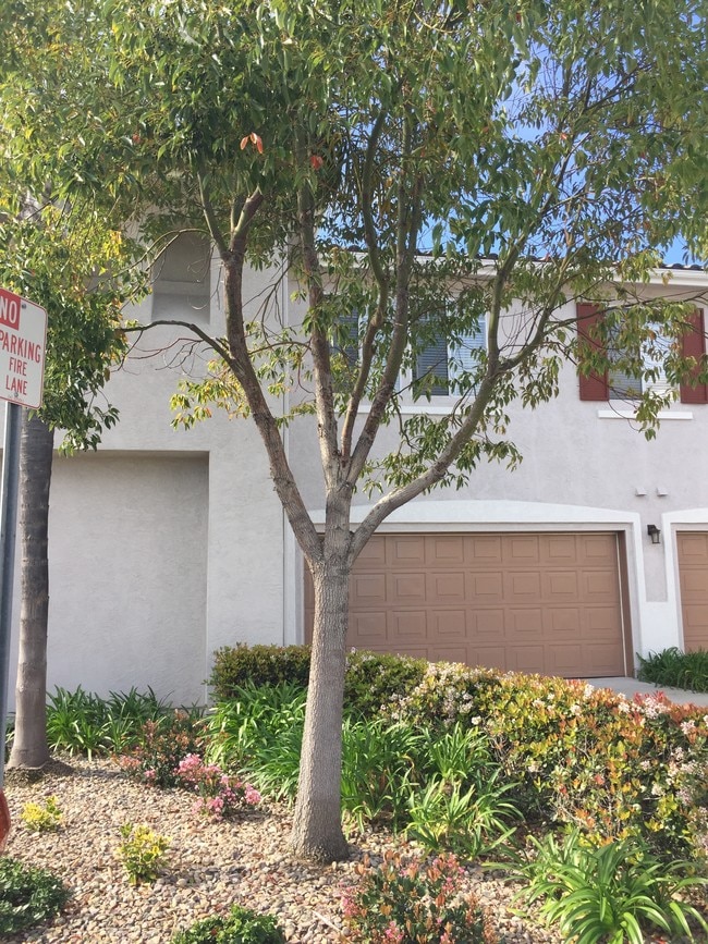 Building Photo - 10970 Ivy Hill Dr