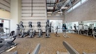 Located at 6200 W 3rd St in Los Angeles, this fitness center offers a well-equipped, single-floor workout facility designed to accommodate a wide range of exercise needs. The space features soaring ceilings with exposed ductwork and industrial-style rafters, lending an open, airy atmosphere throughout. Large floor-to-ceiling windows and glass doors flood the interior with natural light while providing views of the surrounding greenery, creating an inviting environment for exercise.

The main workout floor is carpeted and divided into distinct functional zones. The strength training area is outfitted with a comprehensive selection of Life Fitness selectorized machines, including cable stations, chest press, and incline press units. Full-length mirrors line one wall, visually expanding the space and allowing members to monitor their form. A broad selection of free weights and additional functional training equipment, including medicine balls and stability accessories, are also available.

The cardio zone features a robust lineup of treadmills, elliptical trainers, stationary bikes, and stair climbers, many equipped with individual monitors. Wall-mounted televisions provide entertainment throughout this area. Together, these zones create a comprehensive, well-organized fitness facility suited for both focused strength training and sustained cardiovascular workouts.