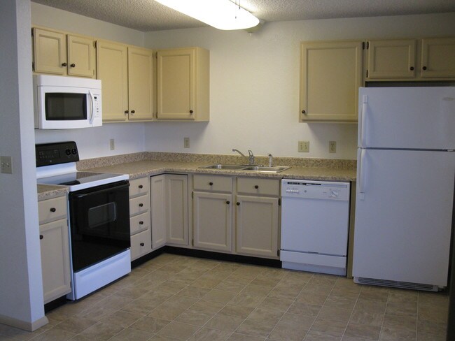 cocina renovada - 355 Aristocrat Dr