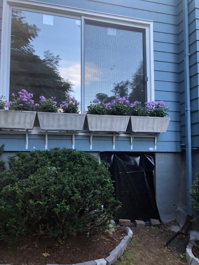 window Boxes outside sunroom - 36 Ferry Ln E