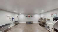 This purpose-built pet grooming facility offers a clean, well-organized space designed to accommodate professional grooming services. The interior features light gray walls, smooth white ceilings with recessed lighting, and durable wood-look luxury vinyl plank flooring throughout, creating a bright and hygienic environment.

The grooming area is equipped with multiple stainless steel bathing tubs, providing ample capacity for pets of varying sizes. A dedicated hand-washing sink station is conveniently positioned between the tubs, supporting sanitary practices. Along the opposite wall, several professional grooming tables are mounted with wall-attached dryers, allowing groomers to work efficiently at individual stations. A mini-split HVAC unit ensures climate control within the space year-round.

Cheerful, pet-themed canvas artwork is displayed throughout the room, adding a welcoming and playful ambiance. Floating shelves offer storage for grooming supplies, keeping the workspace tidy and functional. A seating bench with storage bins near the entrance provides a practical waiting or staging area. Decorative potted plants add a touch of greenery, softening the utilitarian feel of the professional equipment.

Two interior doors provide access to additional areas, and the spacious, open floor plan allows groomers to move freely between stations. The overall design balances professional functionality with a clean, inviting aesthetic suited for a modern pet grooming business.