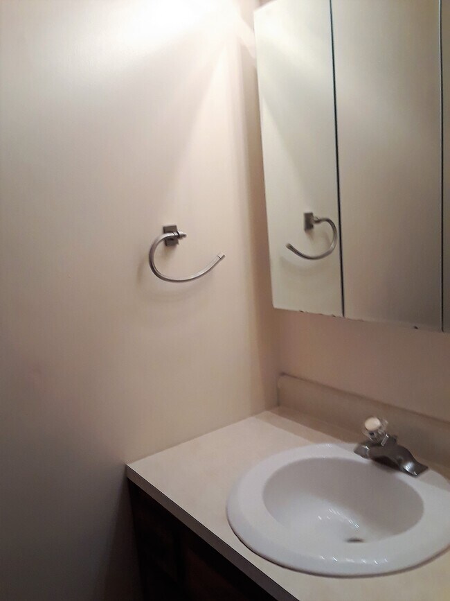 1/2 baño en el primer piso - 337 Ridgewood Ave