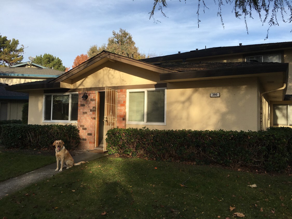 390 N 1st St, Campbell, CA 95008 Condo for Rent in Campbell, CA