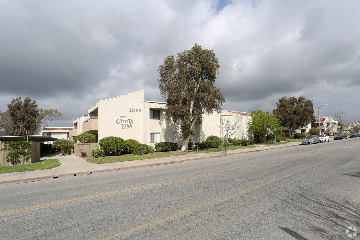 Primary Photo - Citrus Tree Apartments