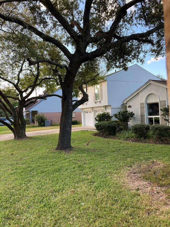 Recently painted house with new shutters. Trees recently trimmed allowing in plenty of light. - 14006 Overbrook Ln