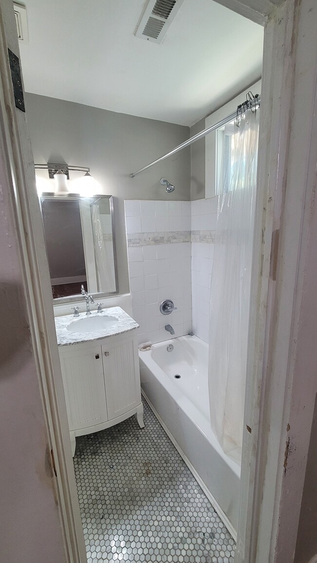 Master Bathroom - 309 Dargan Pl SW