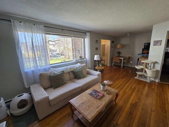 Building Photo - 1 Bed - Natural Lighting - In-Unit Laundry - Off-Street Parking